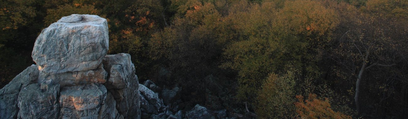 Fall foliage at Chimney Rock.