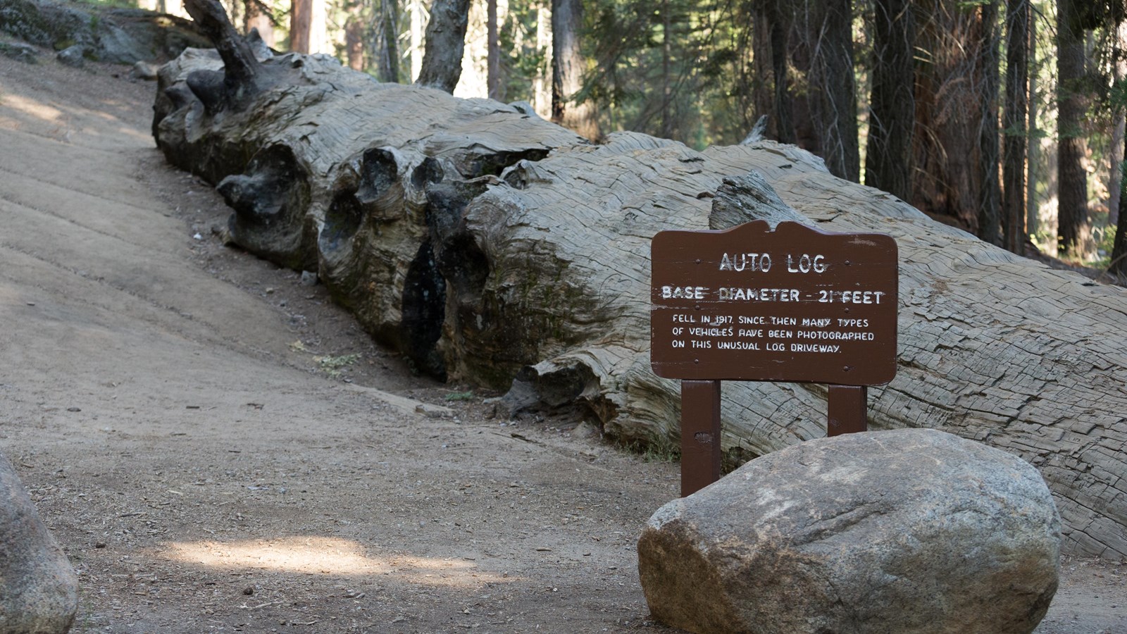 A wooden sign in front of a fallen sequoia log