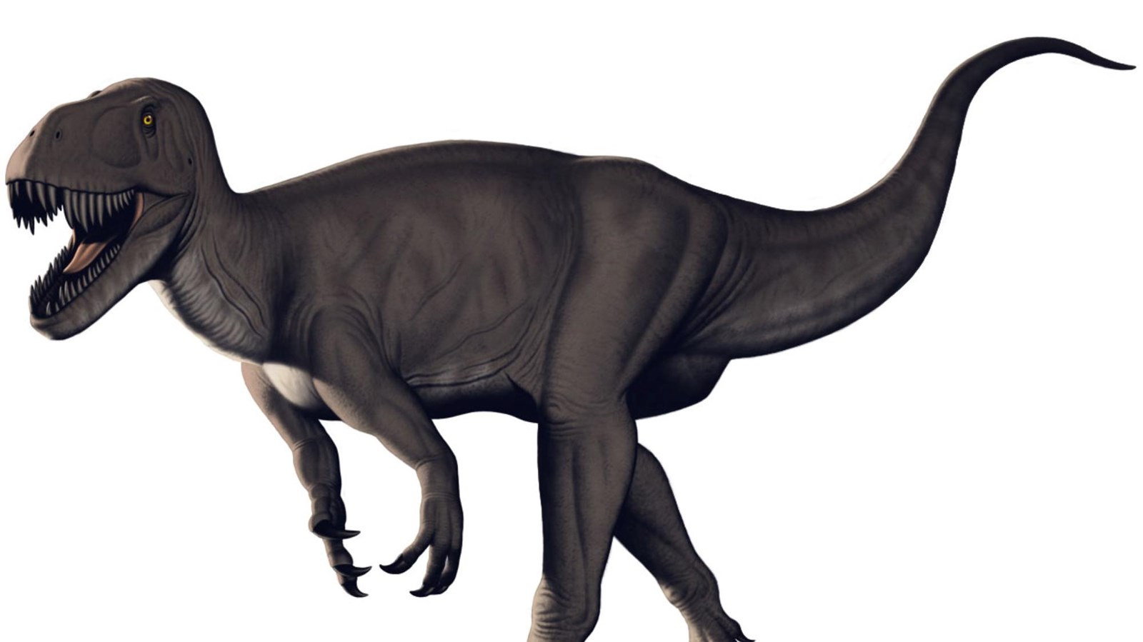 A large carnivorous dinosaur with sharp teeth.