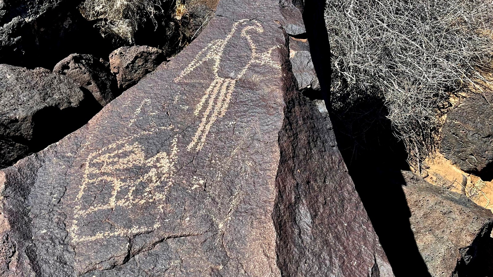 Rock art of a macaw on a dark volcanic boulder.