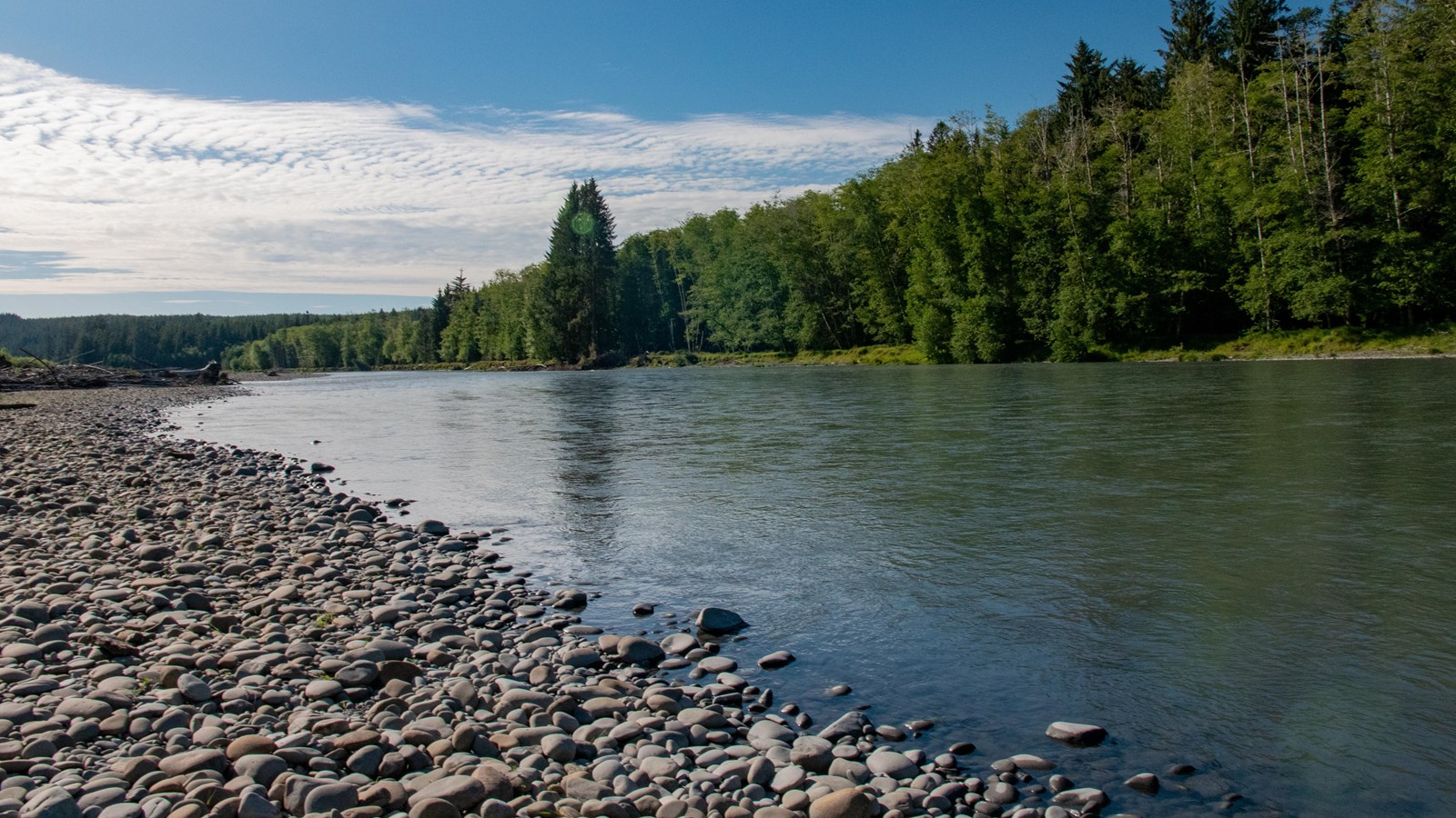 A rocky bank along a calm river. Evergreen trees grow tall on the opposite bank.