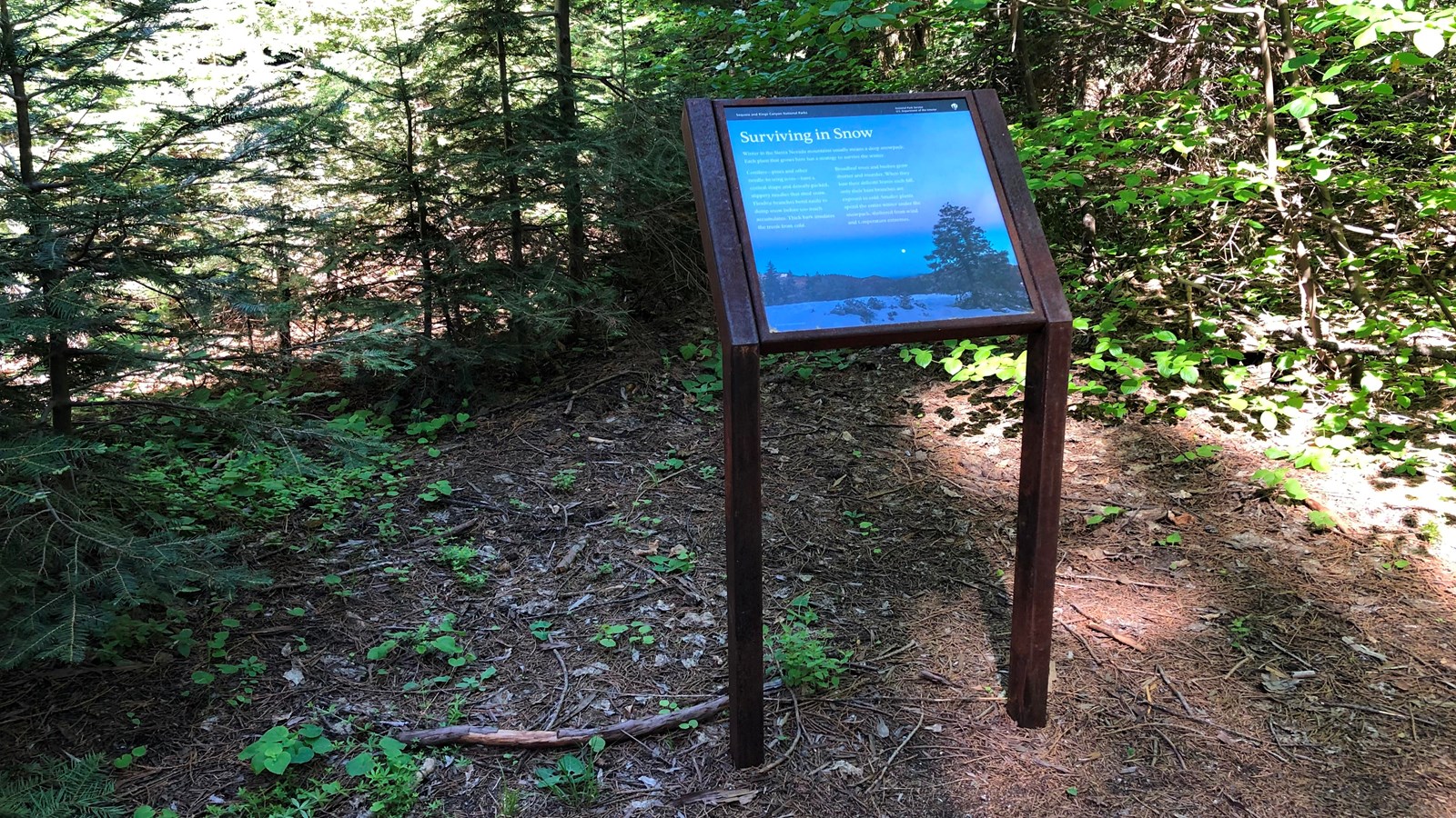A free-standing, brown-framed sign with mostly blue imagery and text is found in front of trees.