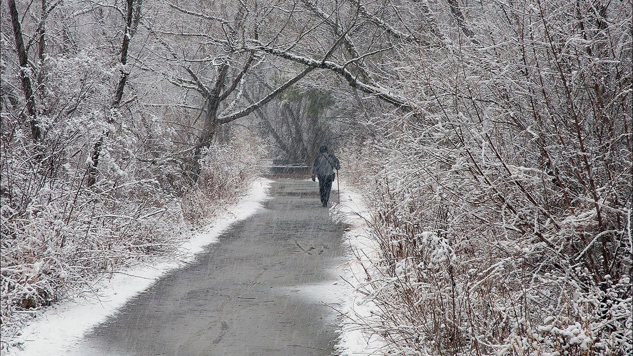 Snowy winter scene of solitary walker.