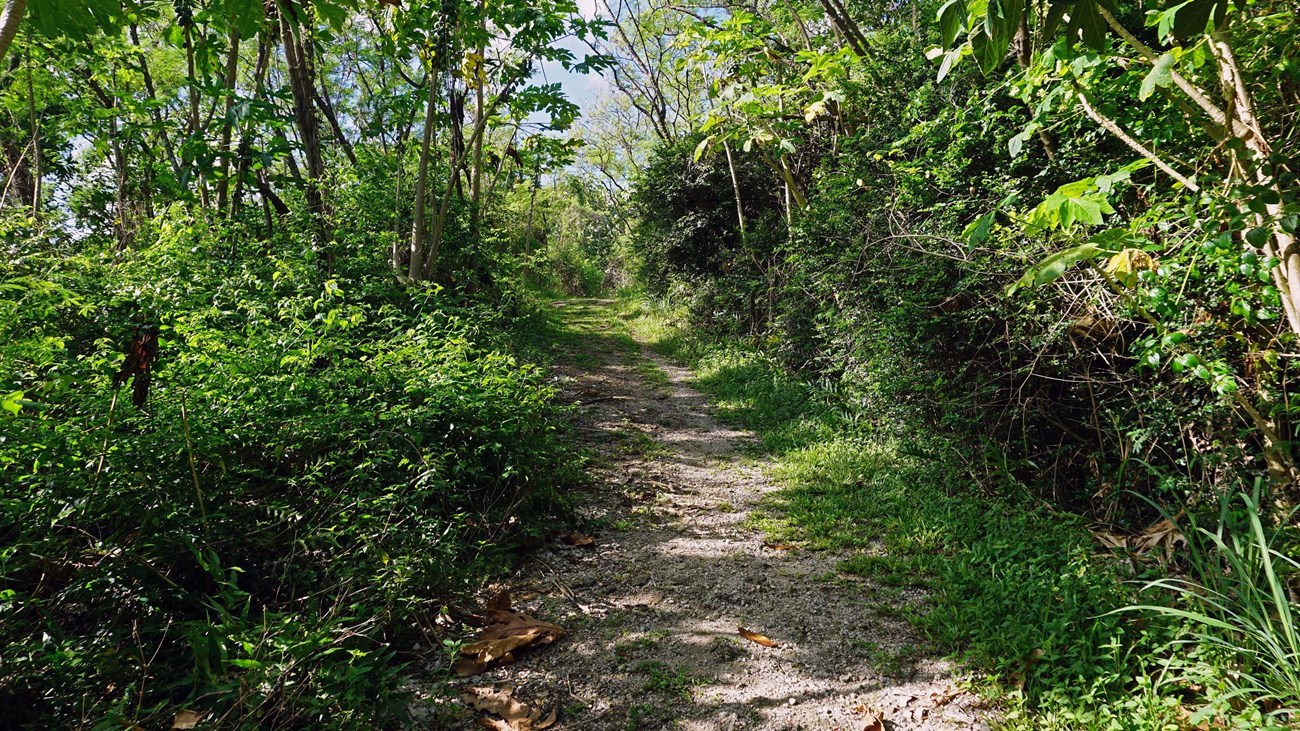Asan Ridge Trail