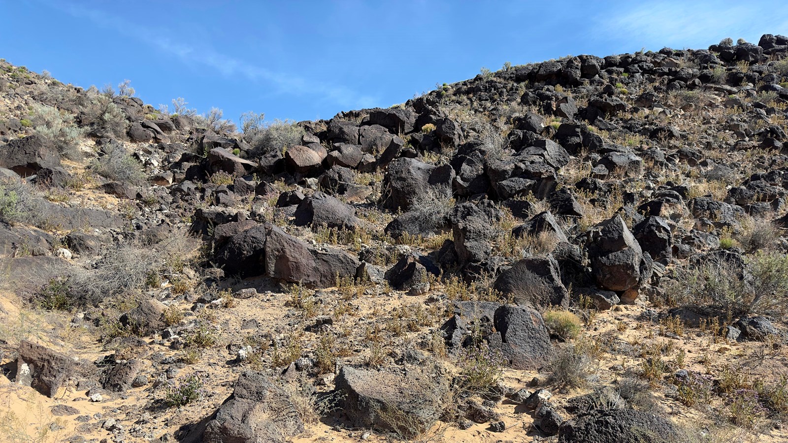 A field of boulders along a volcanic escarpment.