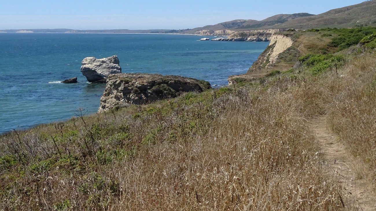Beige-colored coastal bluffs on the right line a bay with a guano-covered seastack on the left.