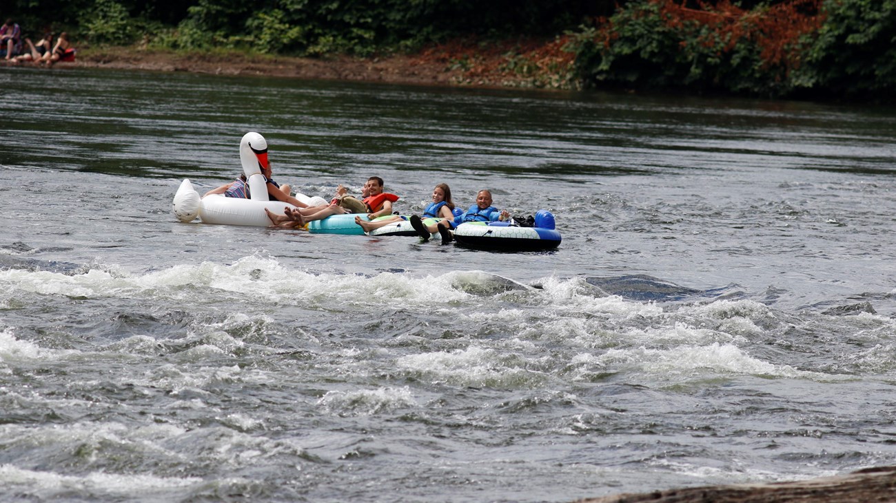 Group of people in life jackets floating on inner tubes and inflatable swan in river with rapids.