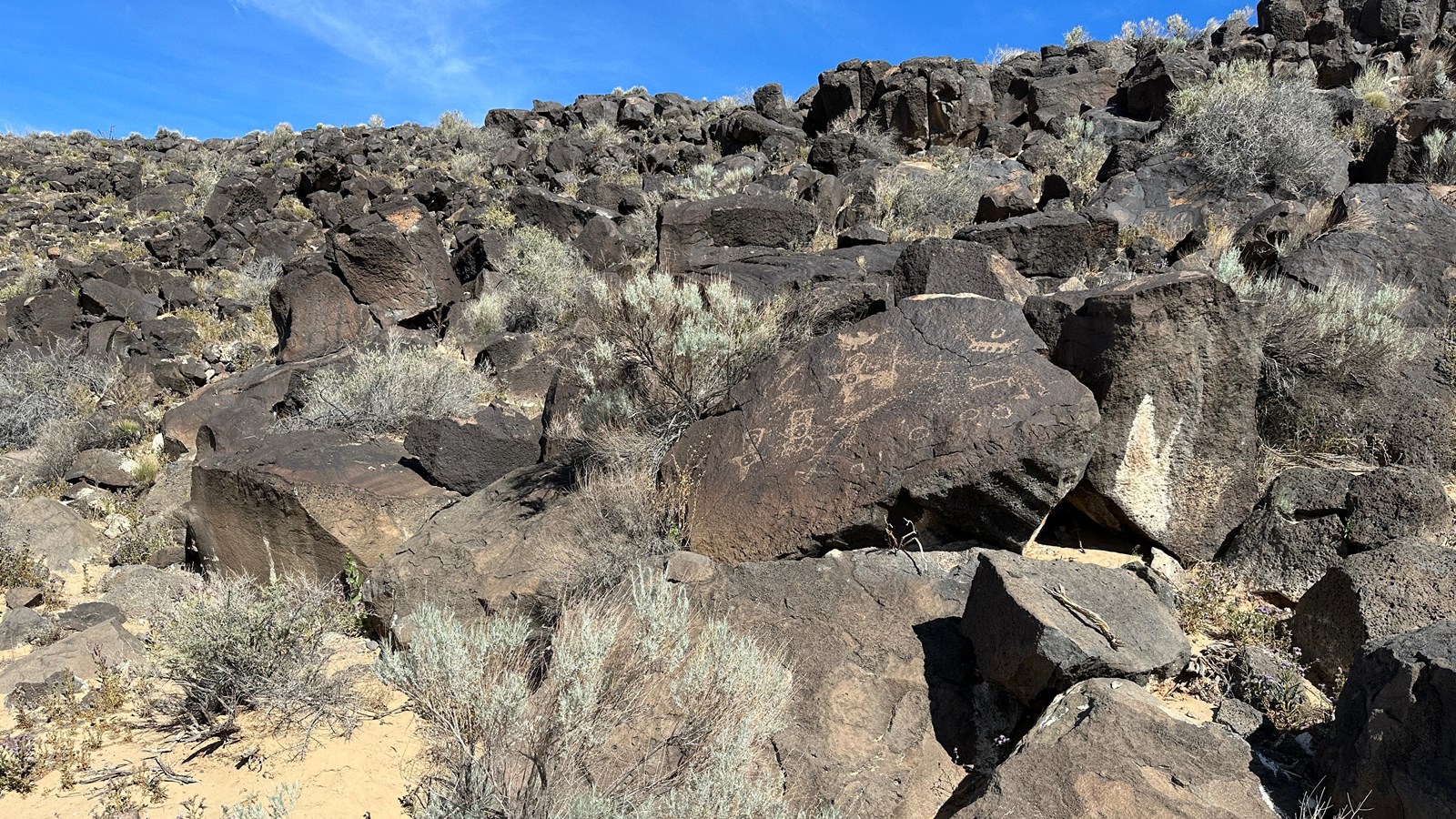 A field of boulders along a volcanic escarpment.