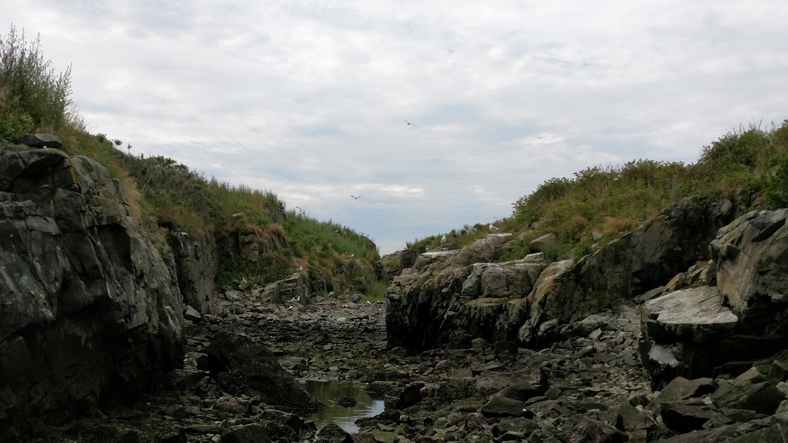 Rocky view of a low point of the island, hilly banks with green gras on top flank the rocky floor