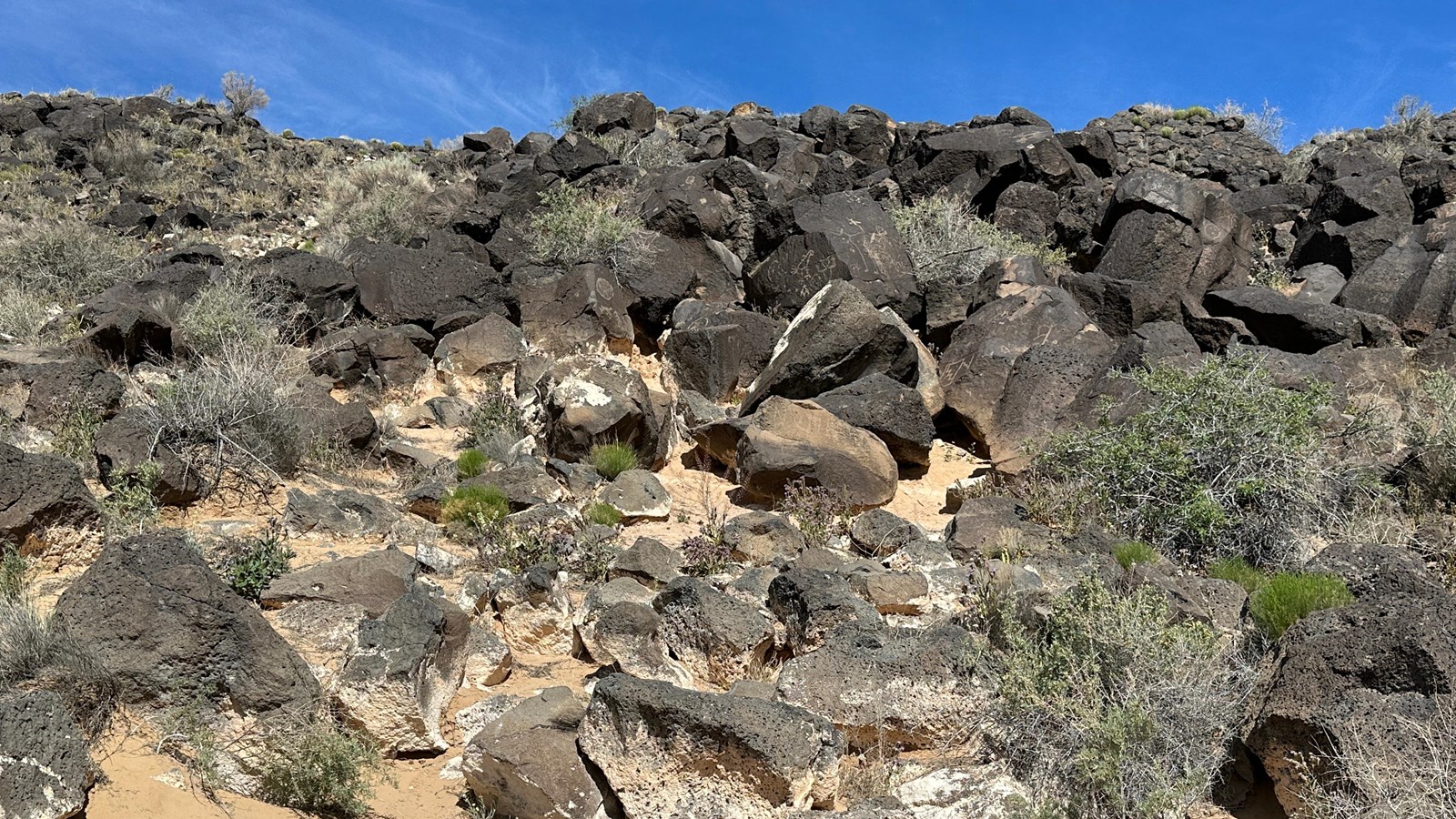 A field of boulders along a volcanic escarpment.