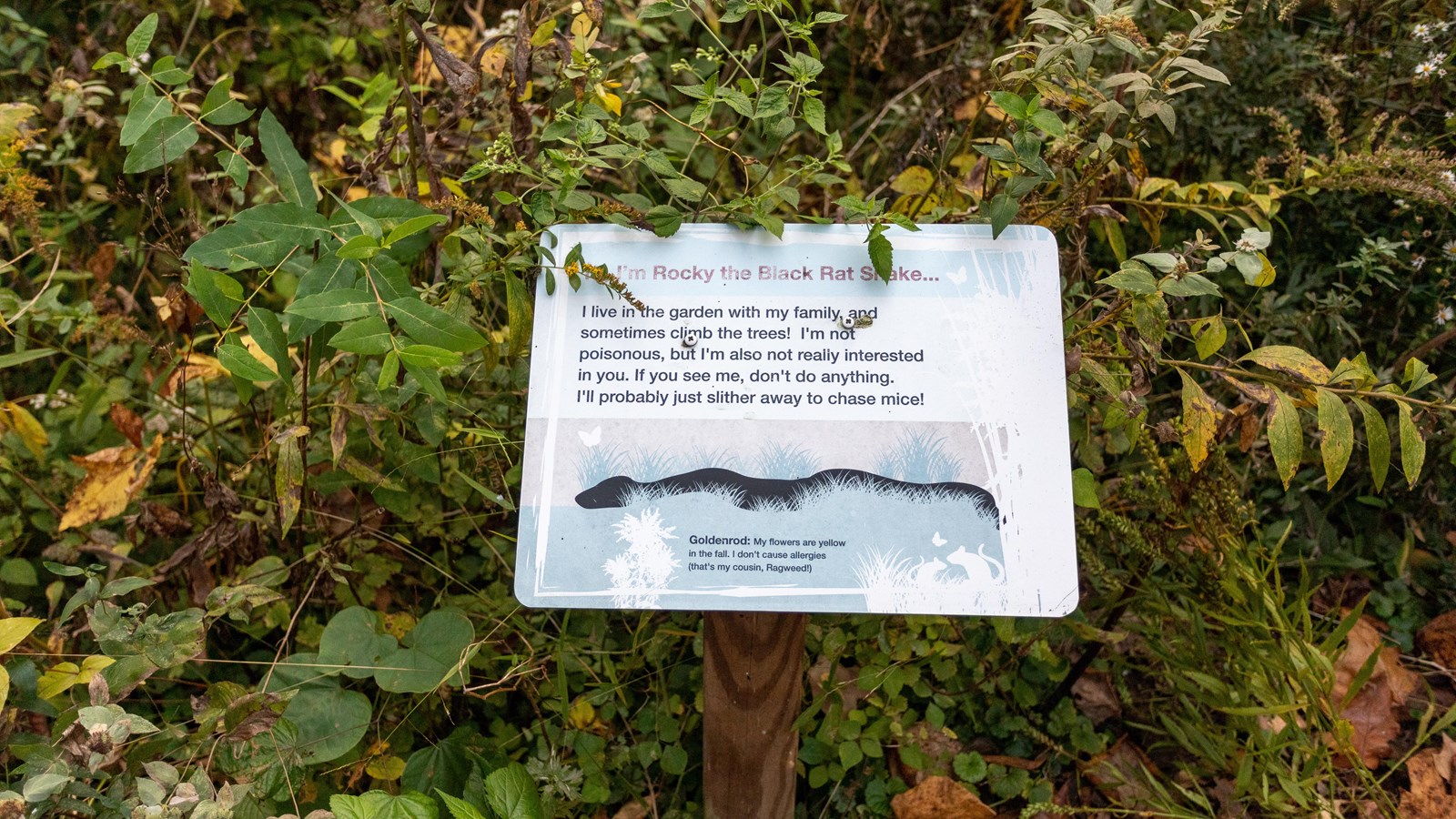 An informational panel surrounded by green foliage. 