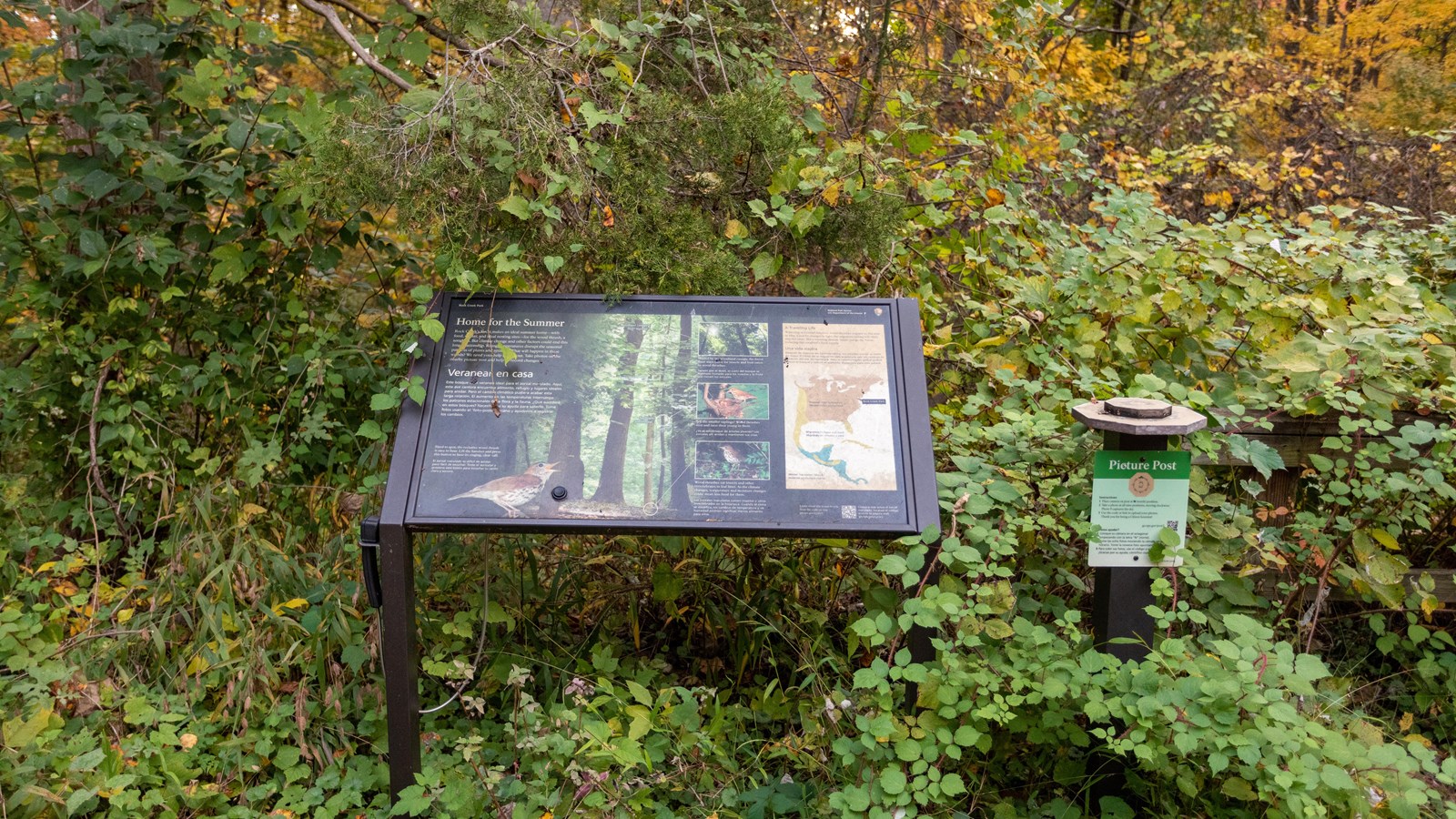 An informational panel in front of trees and plants.
