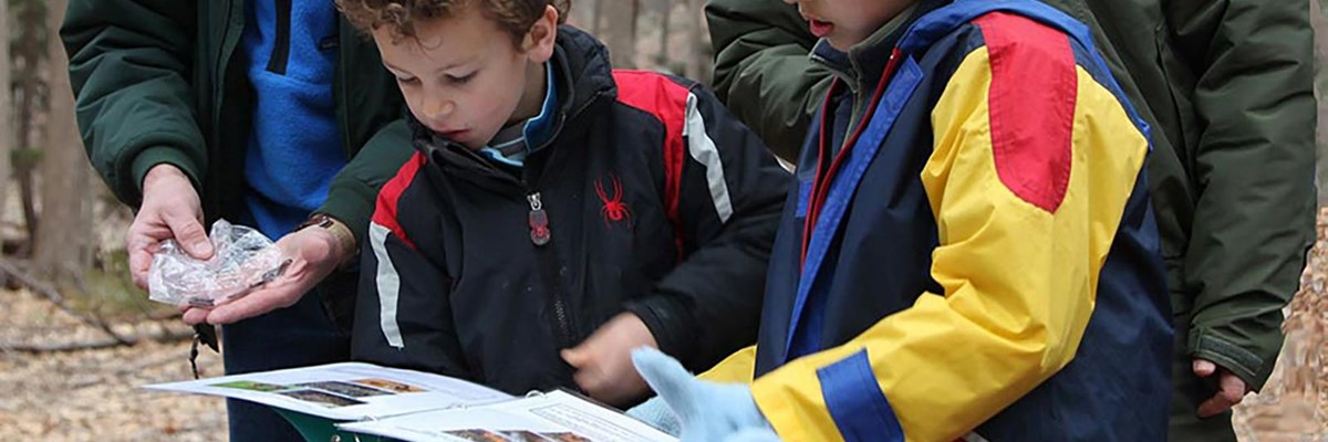 Two adults and two children in a woodland setting look over a map.