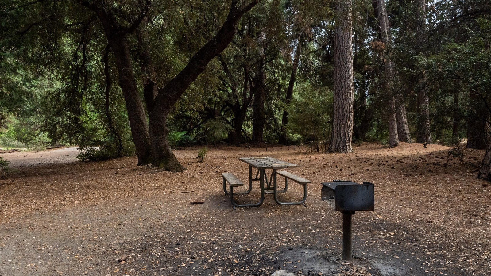 A picnic table and grill in a dirt area surrounded by trees