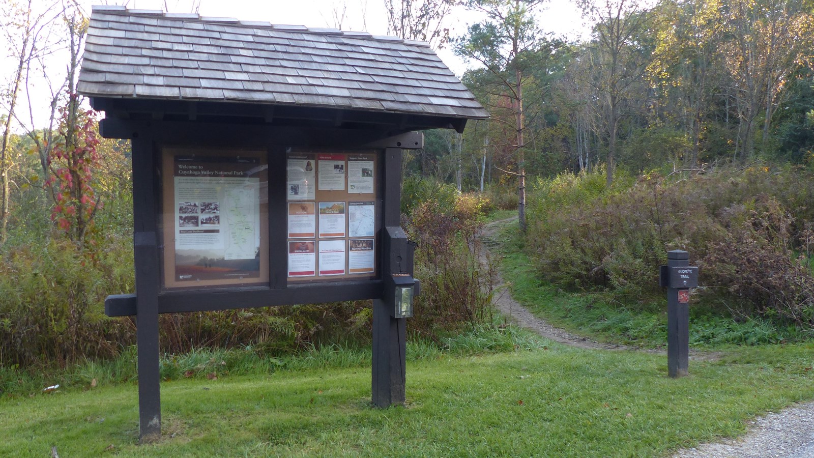 A two paneled bulletin board kiosk stands left of a narrow, dirt trail into yellowing trees.