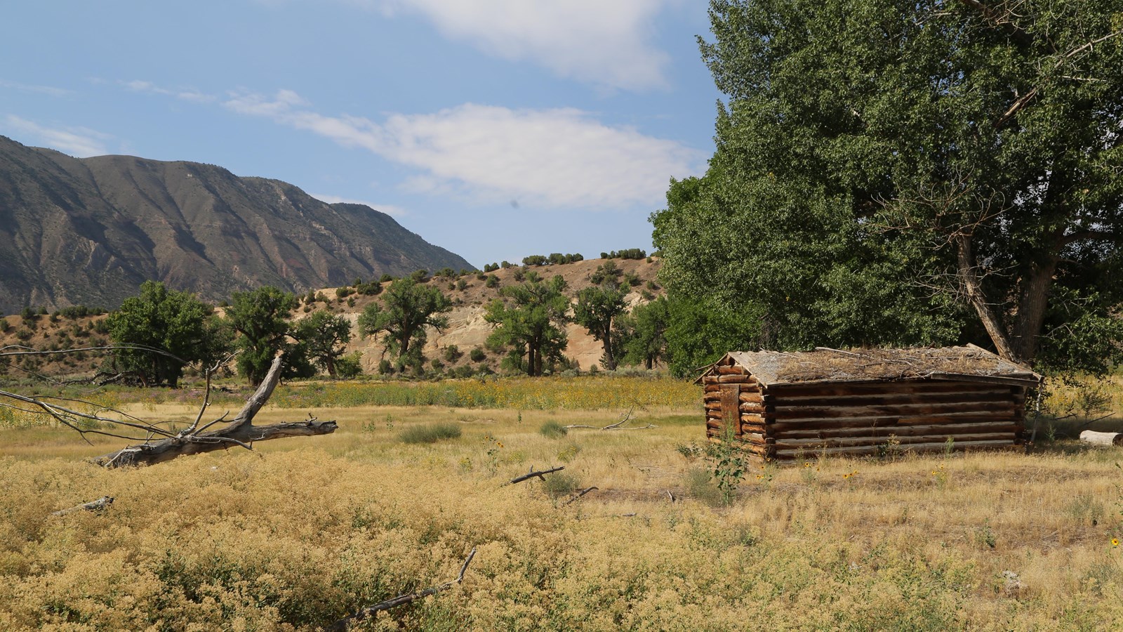A small wooden cabin in a grassland area dotted with trees looking towards a mountain. 