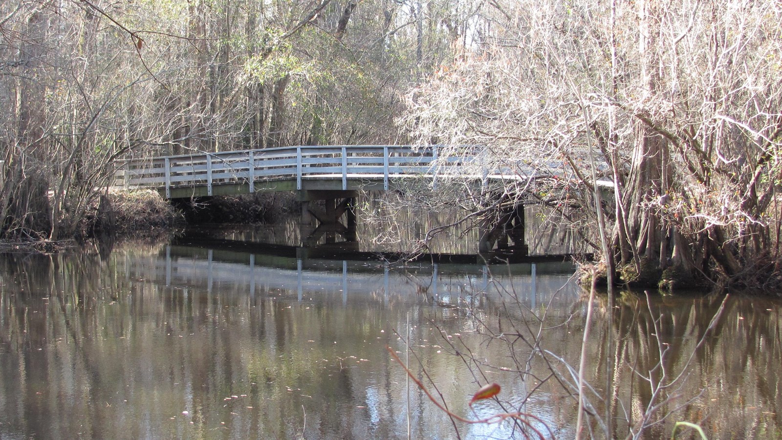 Wooden Bridge over creek surrounded by trees.