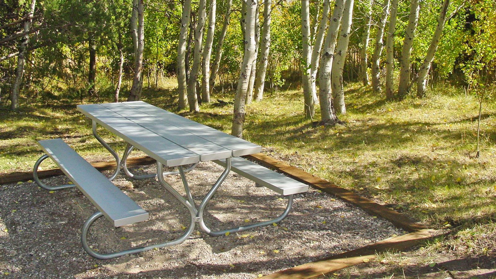 Picnic table surrounded by aspen trees.