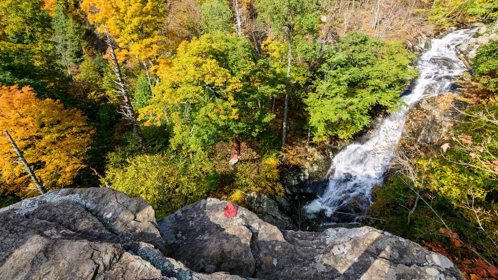Looking downward over a rocky ledge at a tall waterfall cascading down a canyon in the fall.
