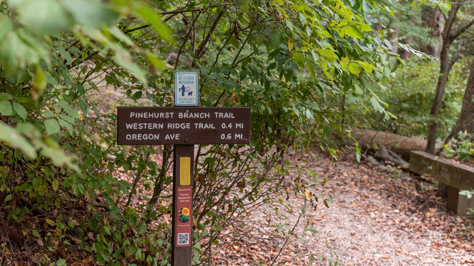 A dirt trail leading into a green forest. There is a trail sign with three trails described