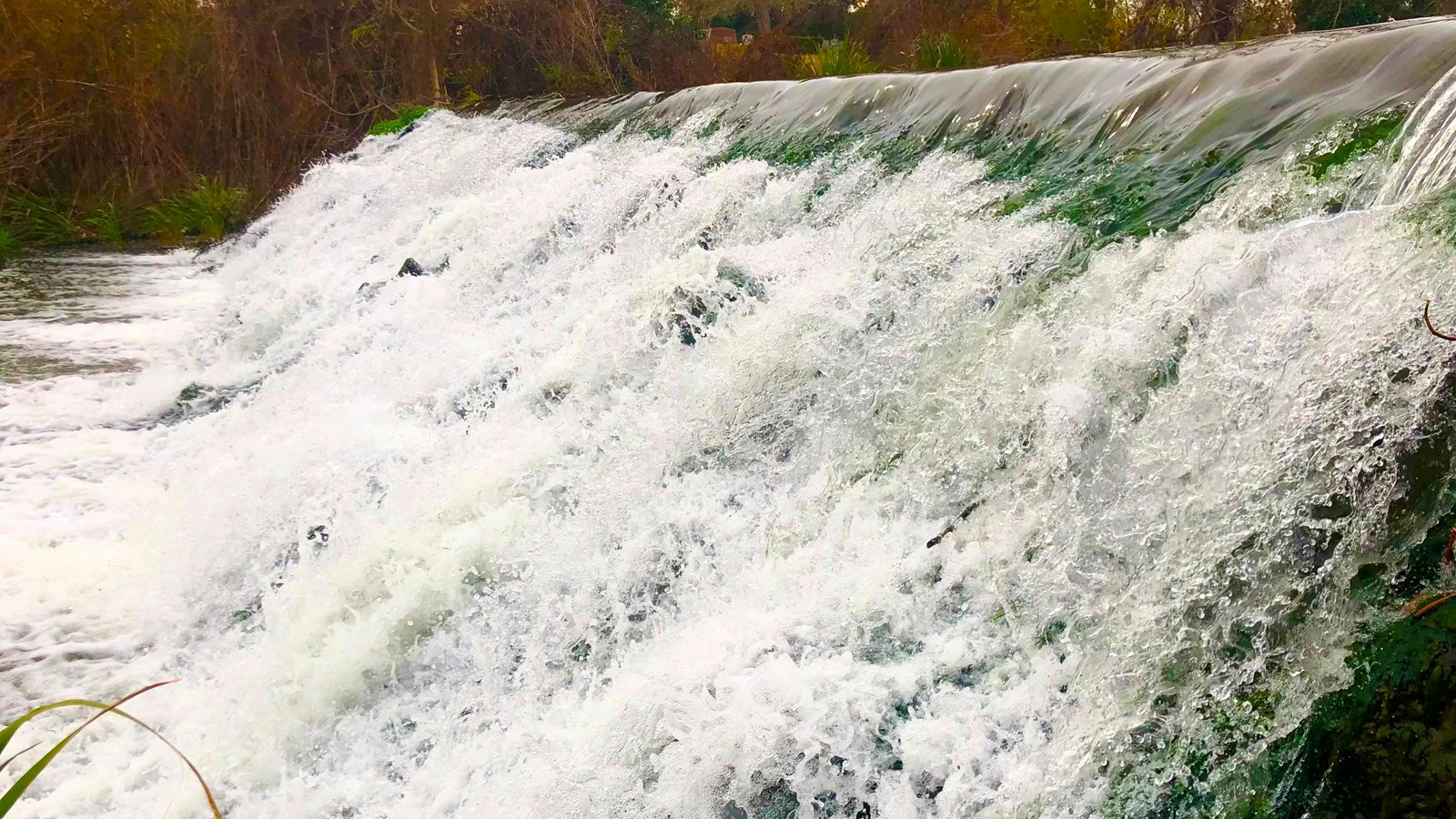 White water flows and splashes over the dam and into the stream below. Trees in background.