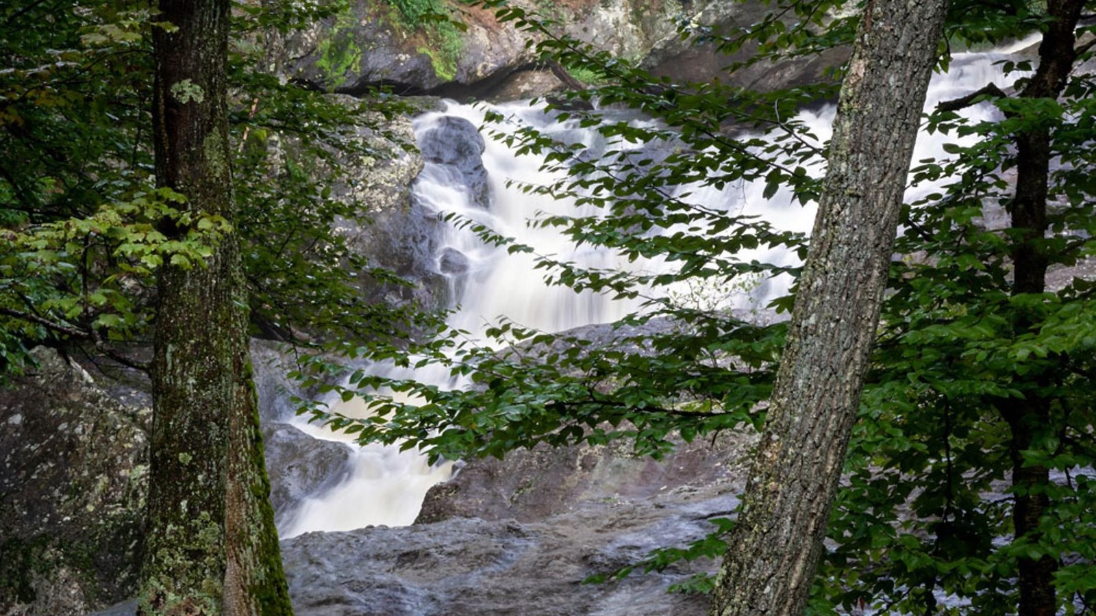 A large, white cascading waterfall flowing through large rocks in a green forest. 