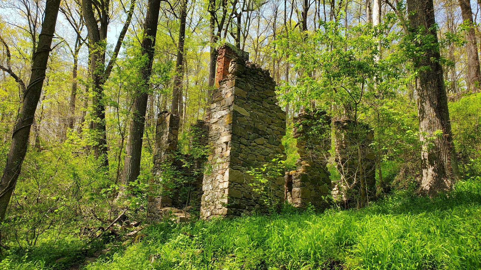 The ruins of a two story house made from flat grey stone, surrounded by dense forest. 