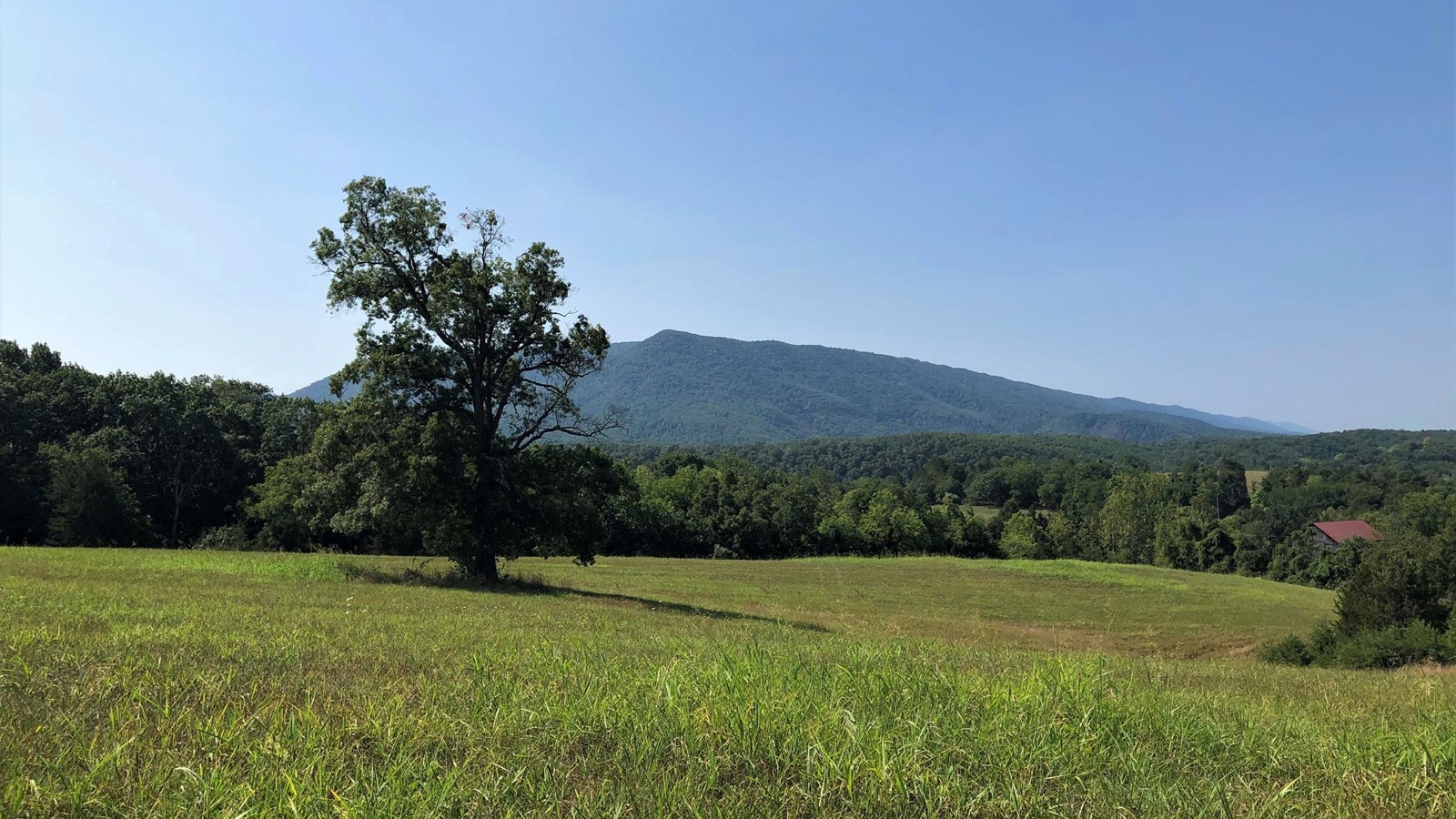 A mowed grass field surrounded by trees is backed by a mountain in the near distance.