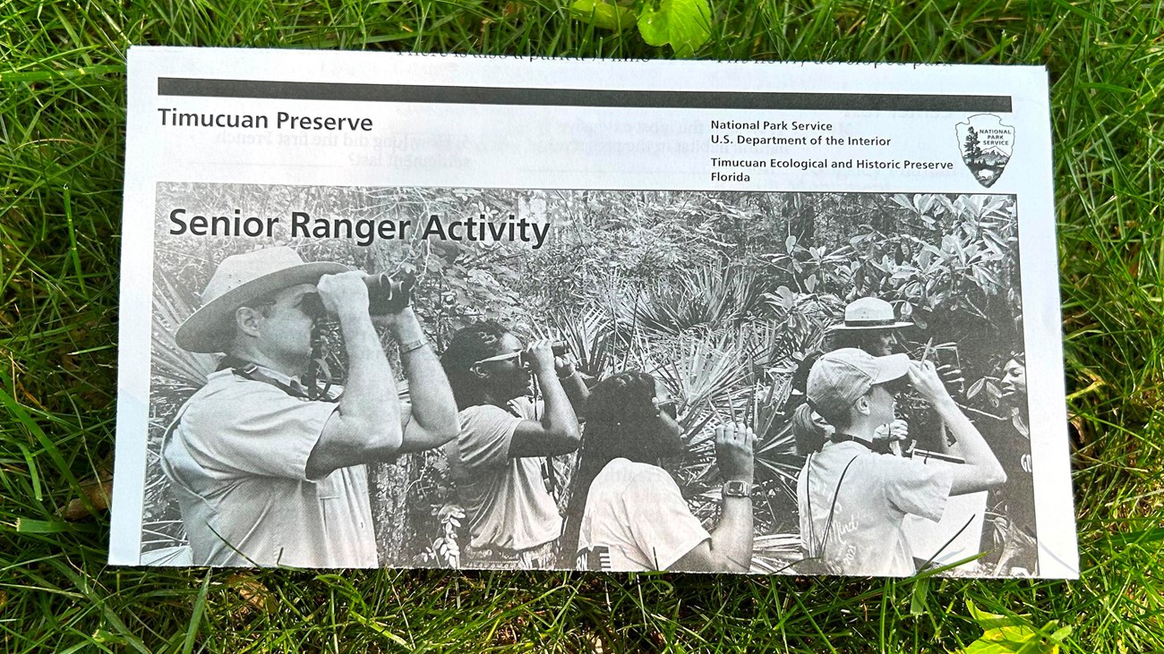 activity book in black and white on grass