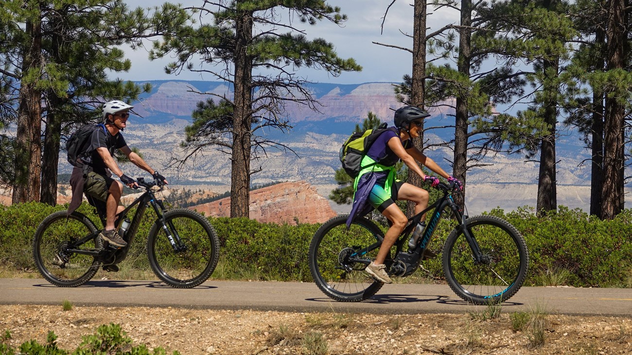 Two cyclists ride along paved forested path