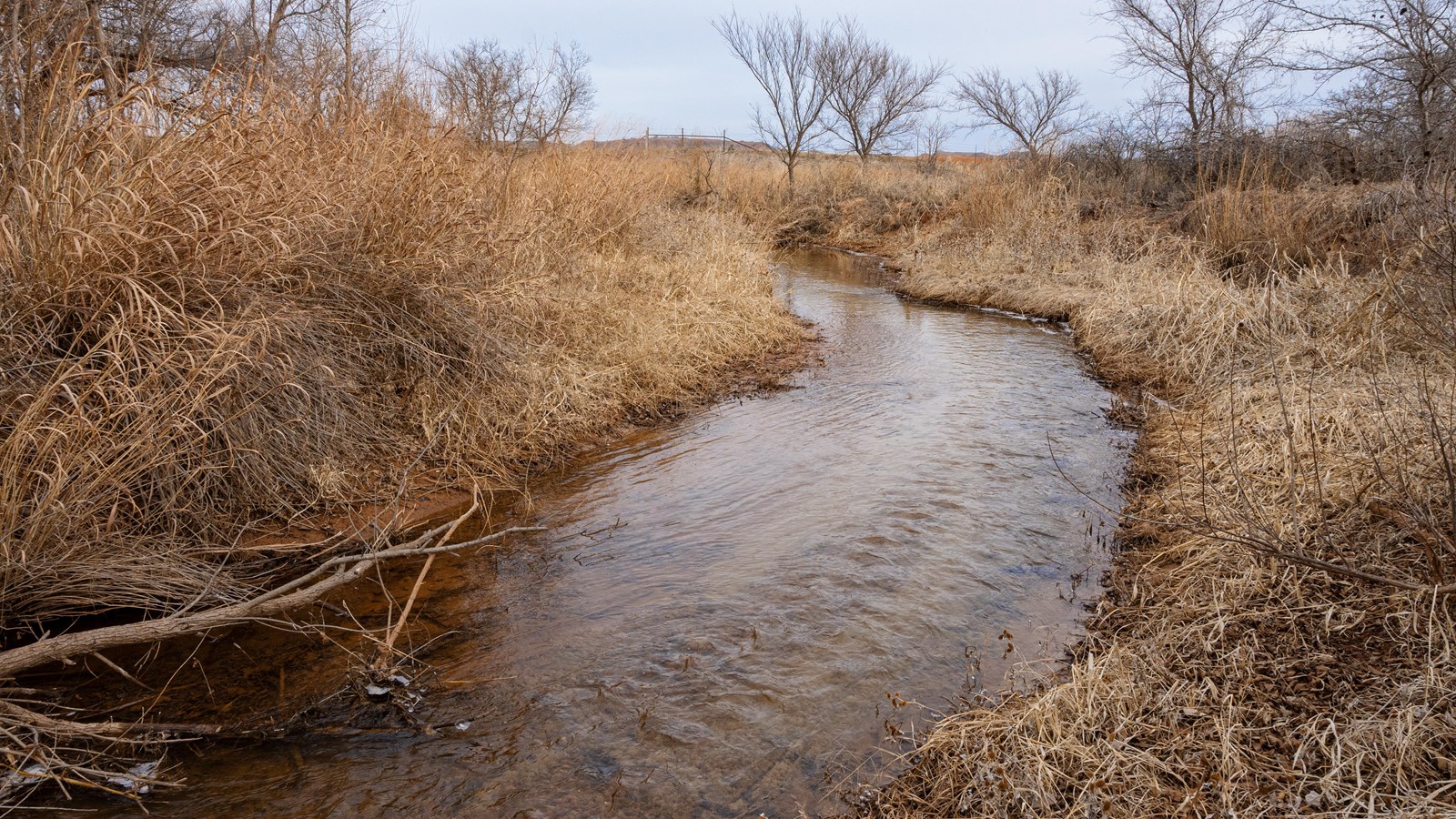 A narrow river running between two grassy banks under scattered trees.