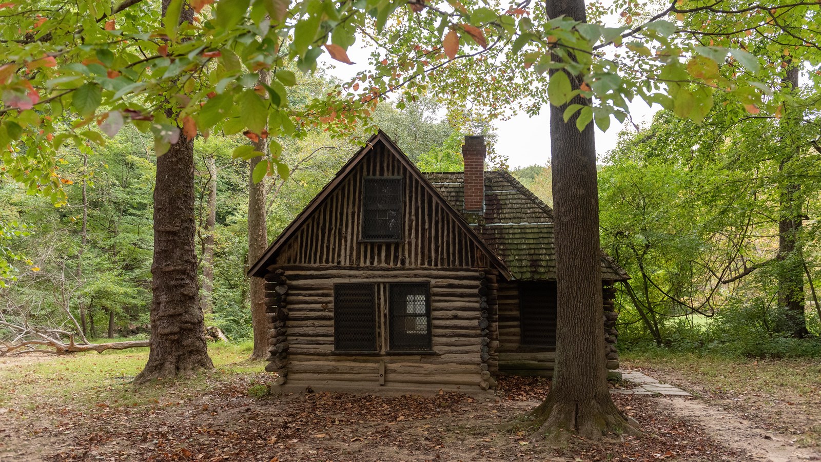 A small wooden cabin in the woods