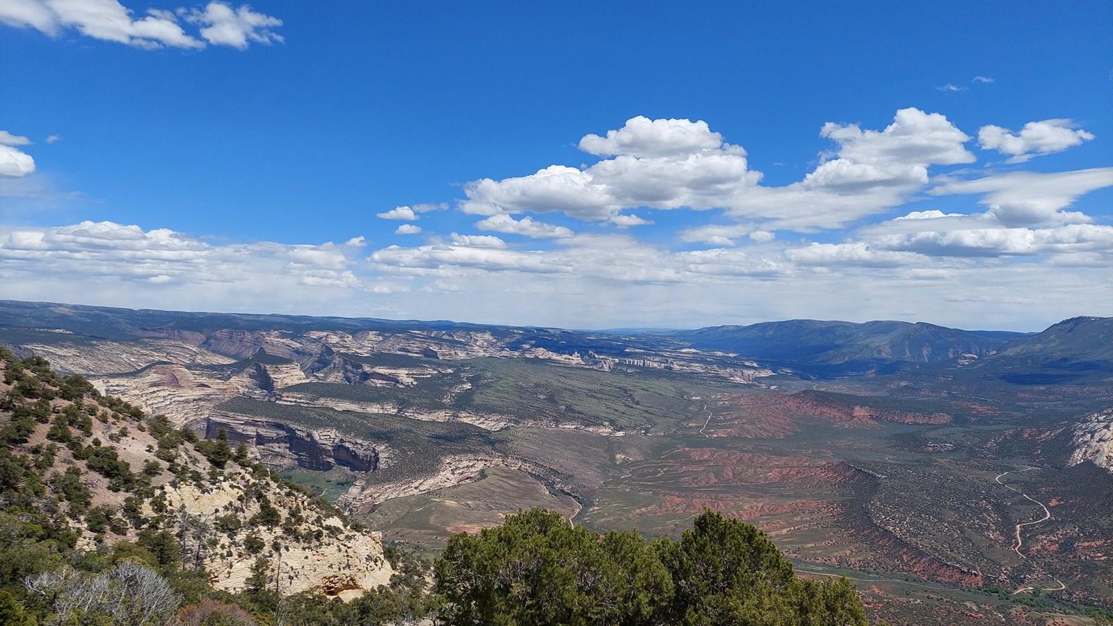 A forested overlook covered in pines and junipers, viewing vast canyons and plateaus. 