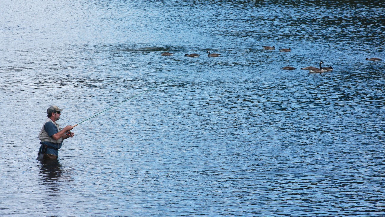 Man fly fishing while wading in knee-deep water in river. Rafters in water in distance.