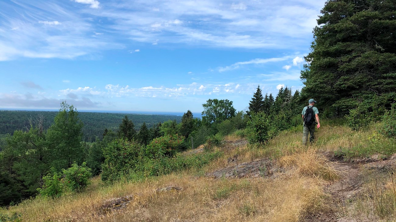 A person hikes along a trail on a ridge top. Trees cover the rolling landscape. 