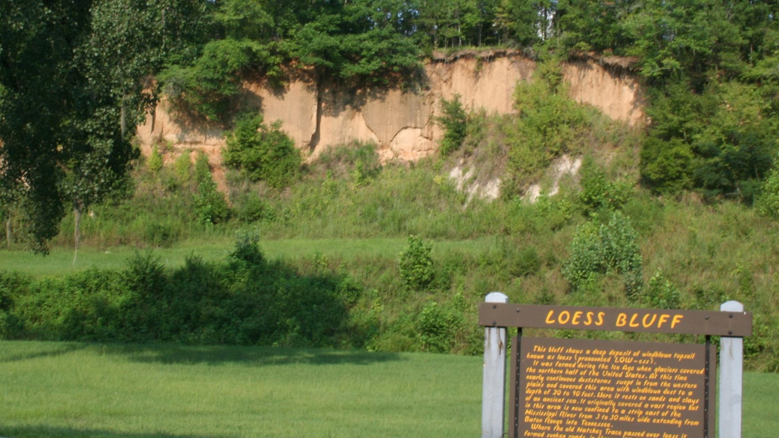 Brown painted sign with yellow letters with heading Loess Bluff is in the foreground with bluffs 