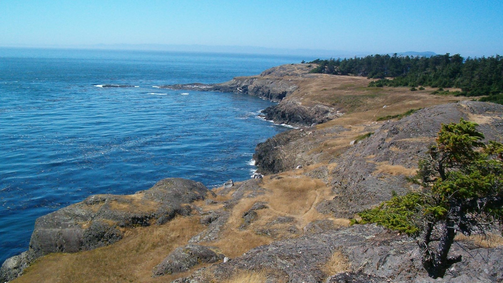 Color photograph of a rocky shoreline beside the ocean