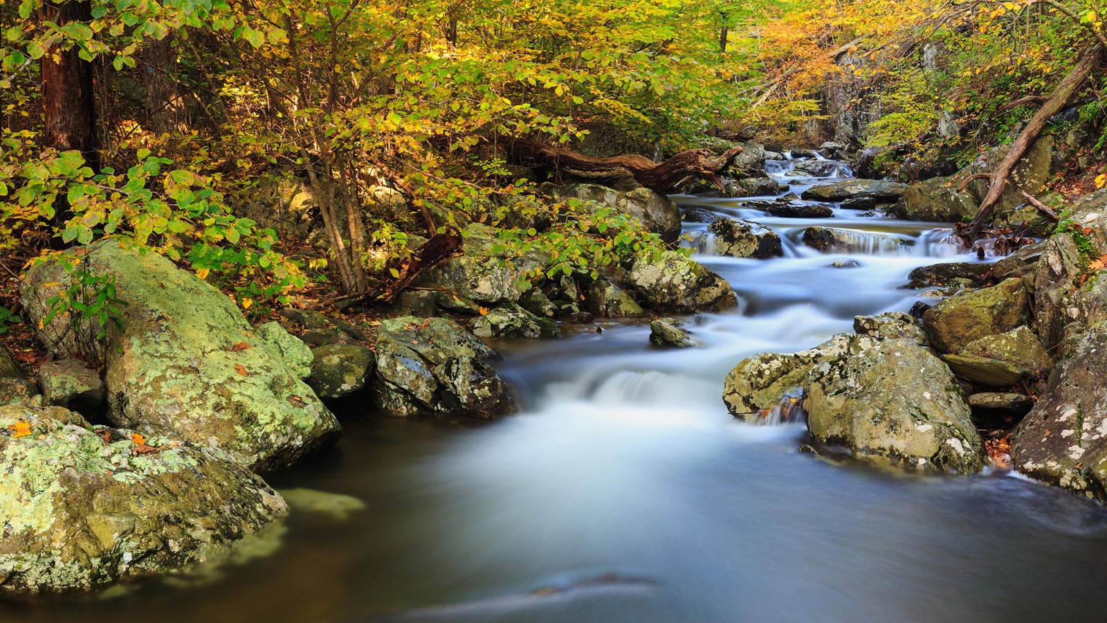 A mountain creek, its water smoothed from a long exposure, winding through rocks in fall.