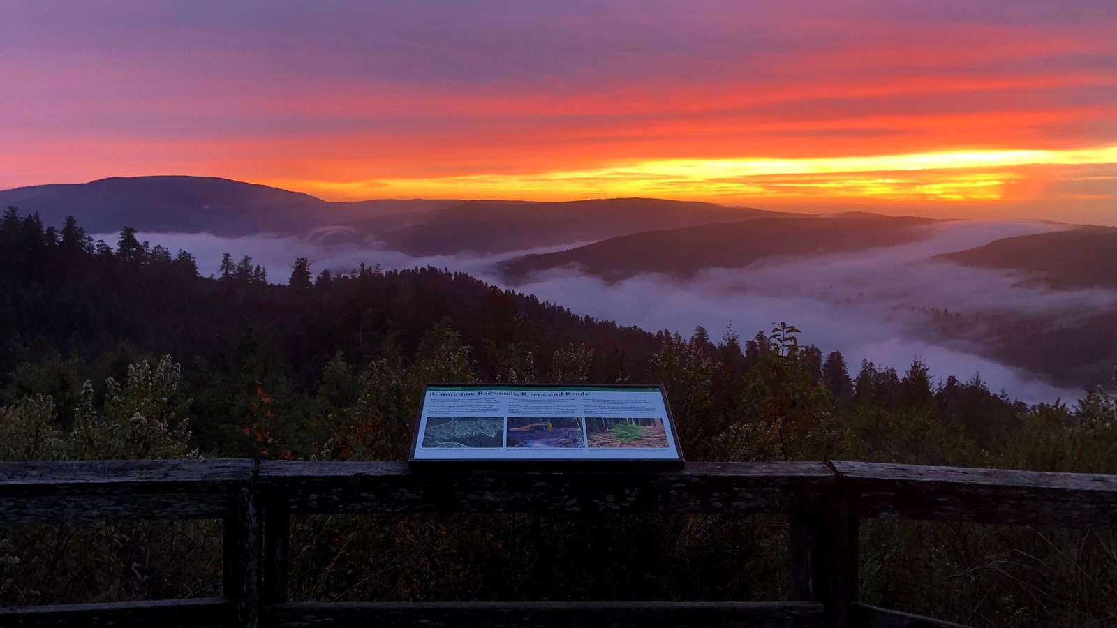 A beautiful sunset at Redwood Creek Overlook