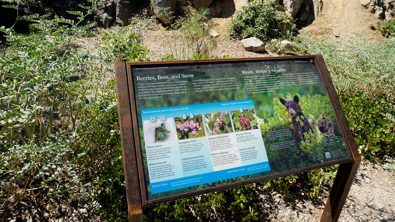 A metal panel stands in front of a green bush. On the panel are images and text 