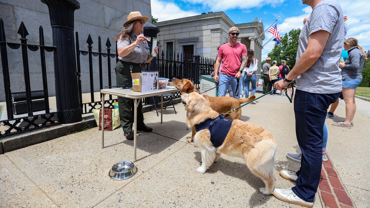A golden retriever and a light-brown dog looking up at a ranger standing behind a table. 