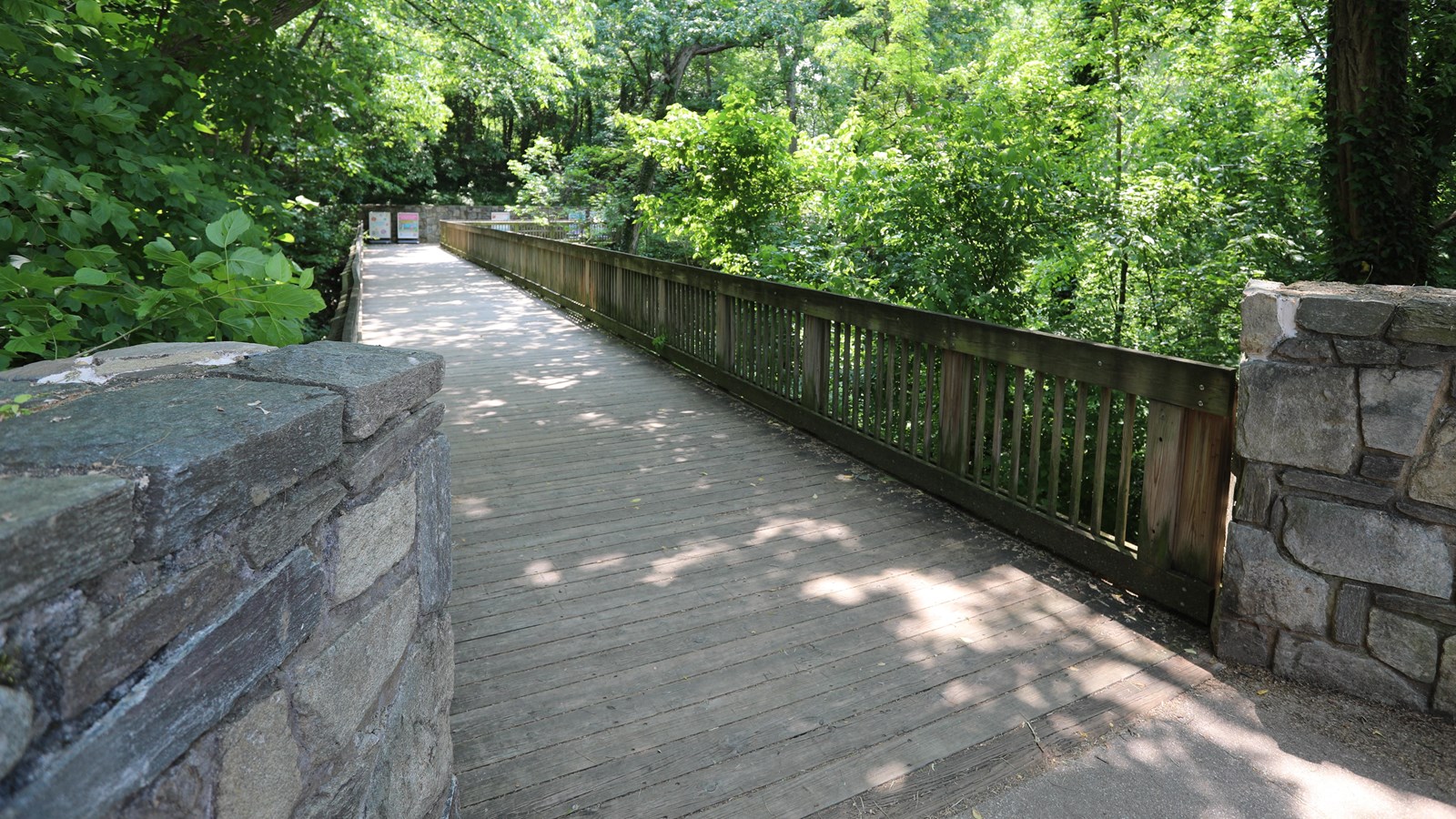 A wooden bridge extends through the woods over a steep ravine.