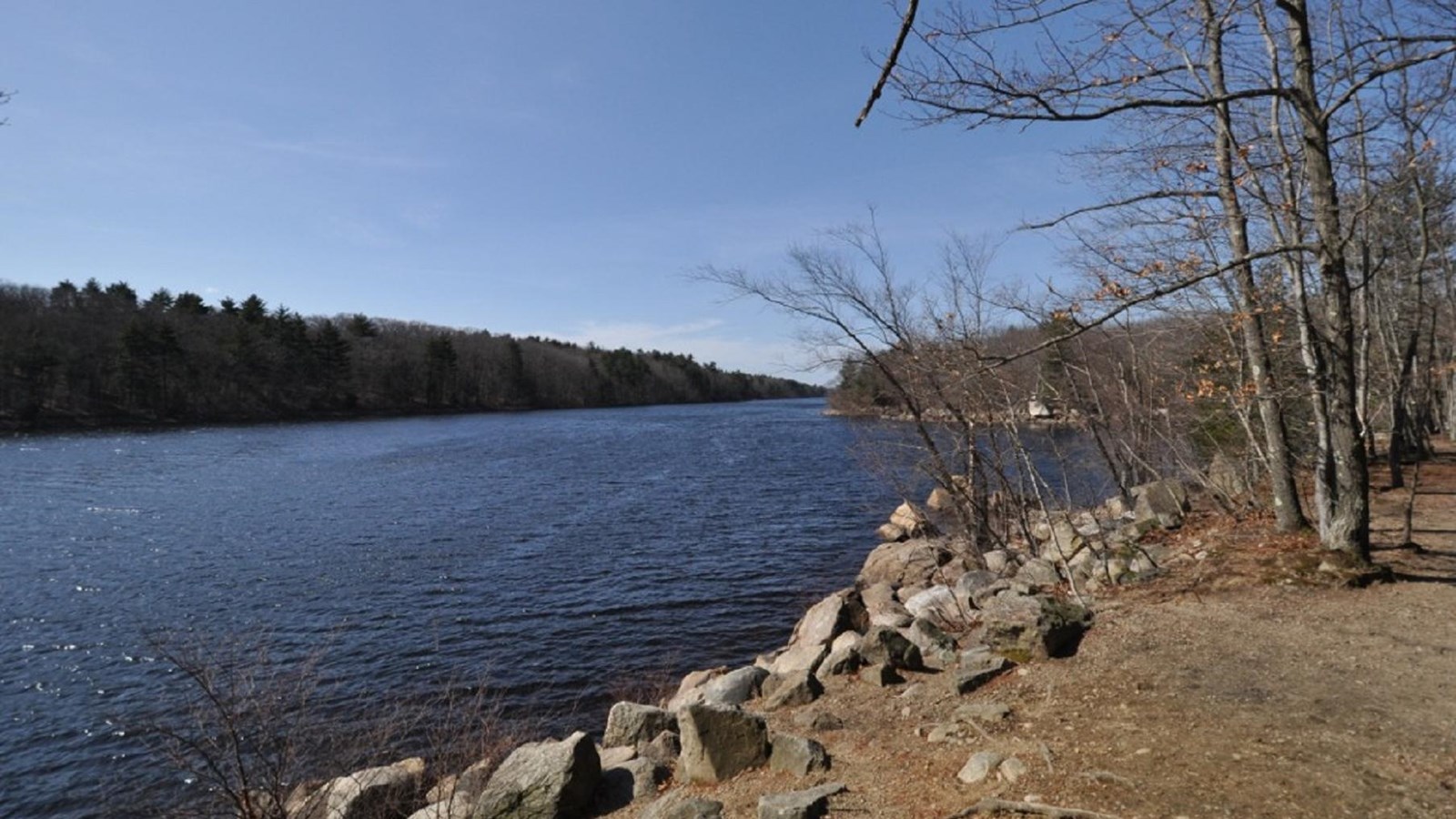 Photo of a river with trees on the bank. 