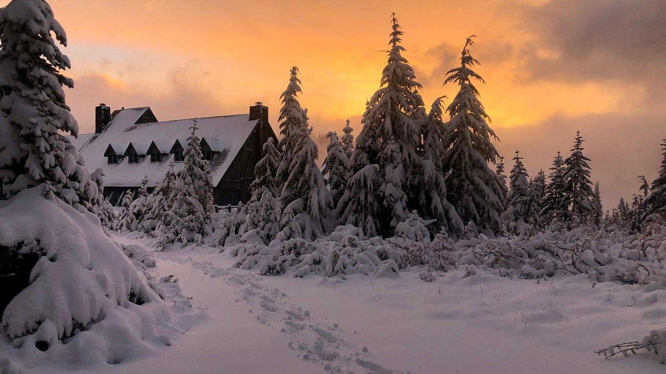 Pink-orange sunset light illuminates a set of tracks along a snowy path and large wood building.