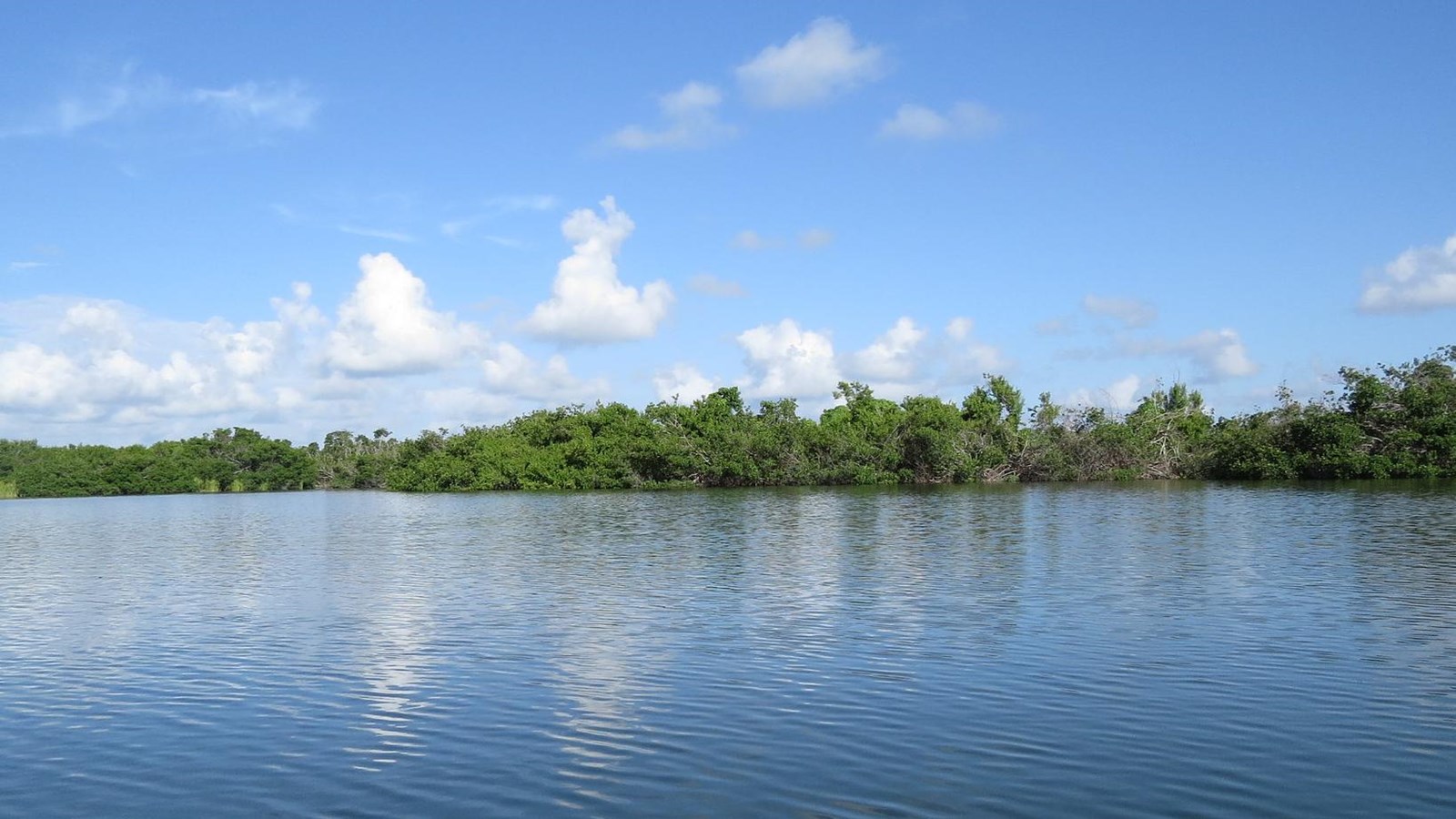 Blue sky and green vegetation is reflected in the calm waters of Paurotis Pond