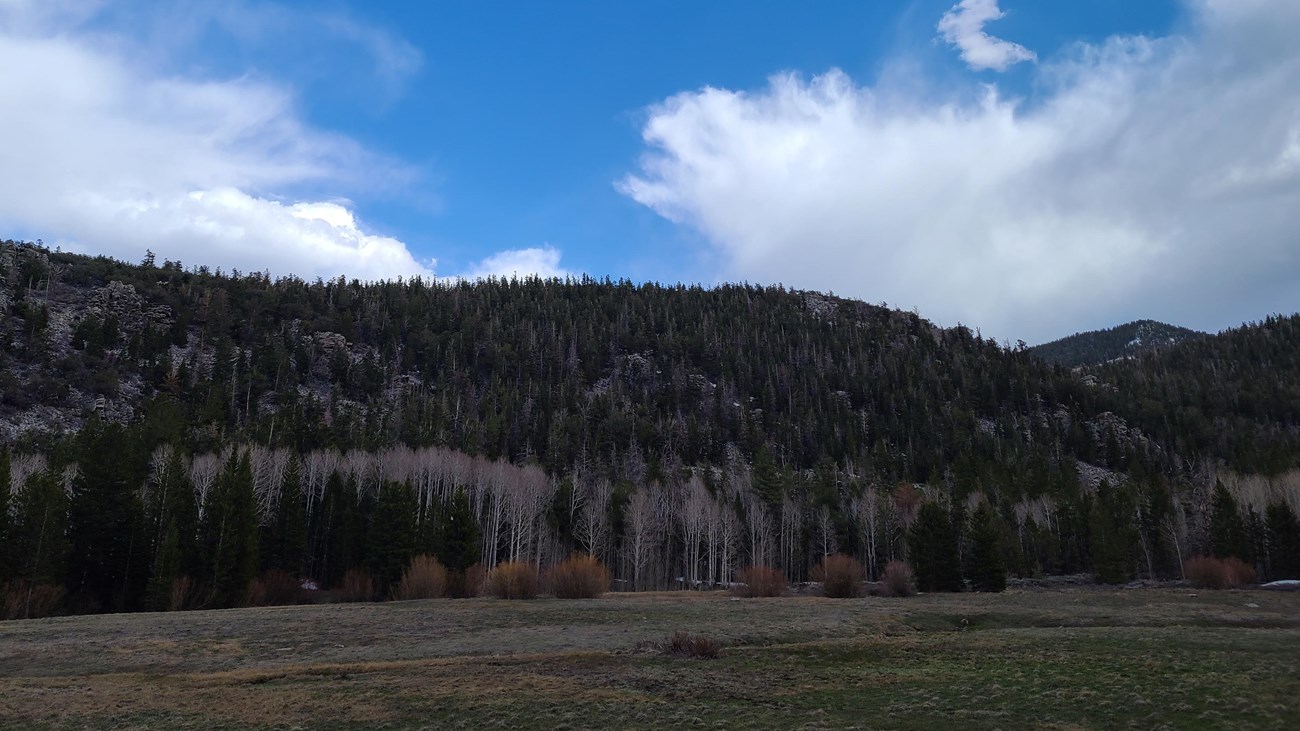 A green and brown meadow sits flat beneath a rising, tree covered mountain with patchy blue sky.