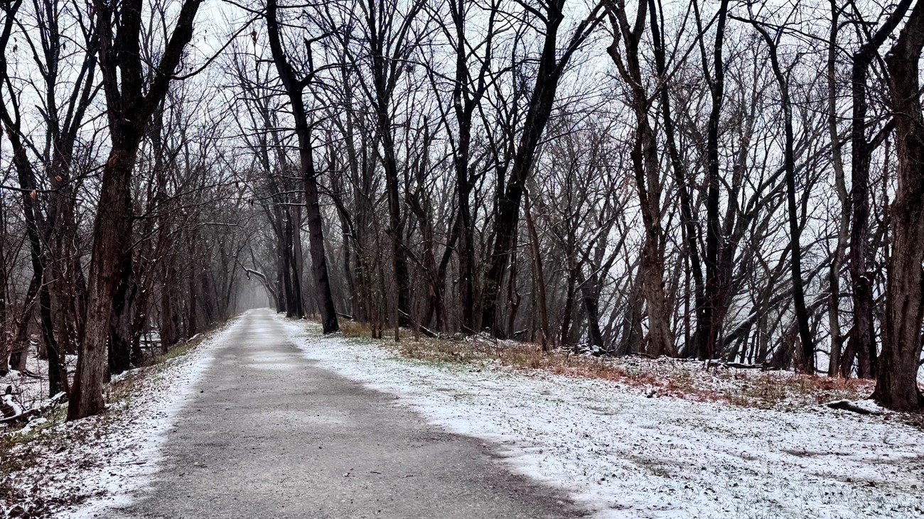 A fresh snow blankets a trail