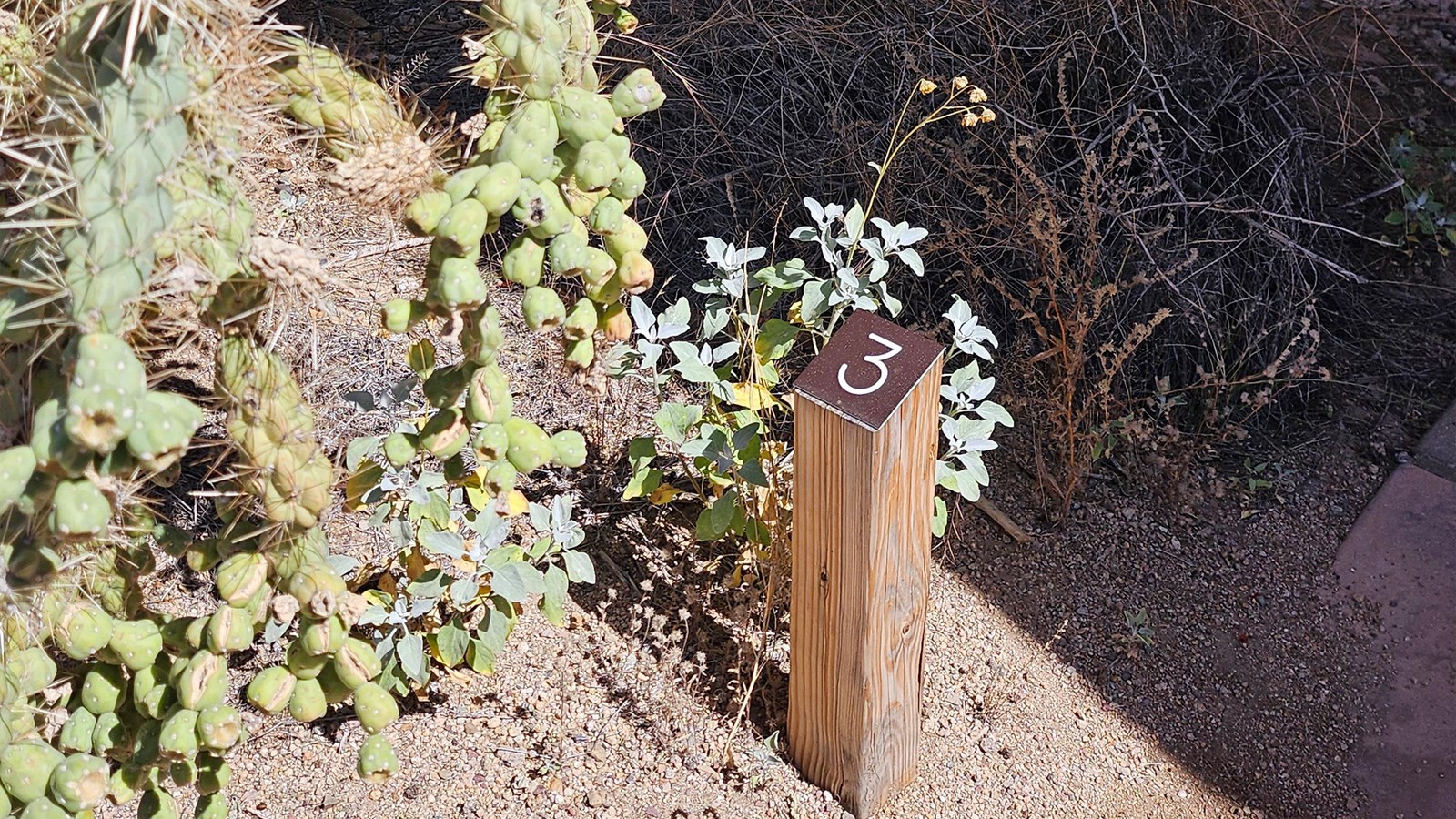A 2x2 wood post with a 