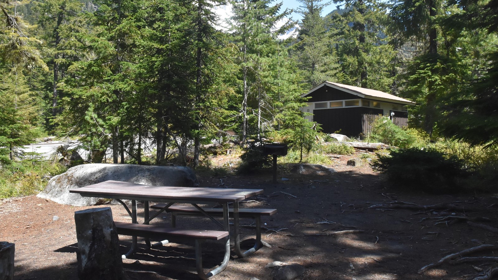 A wooden picnic table with a brown and white in the background, surrounded by coniferous trees.