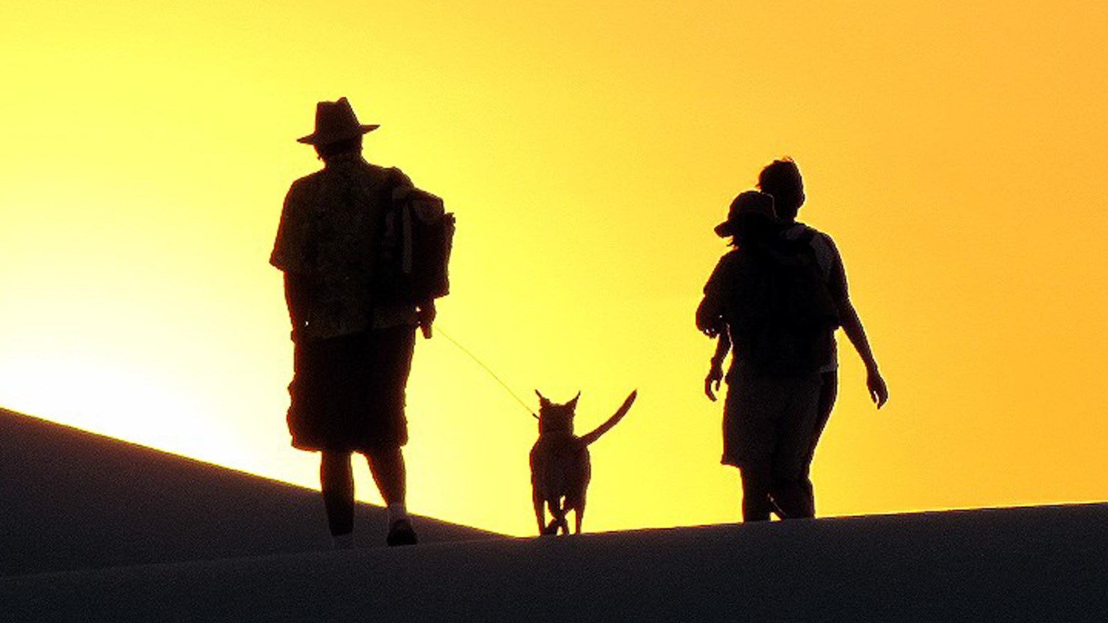 Two people walking a dog silhouetted by the sunset on a sand dune.
